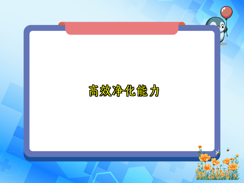 高效净化能力