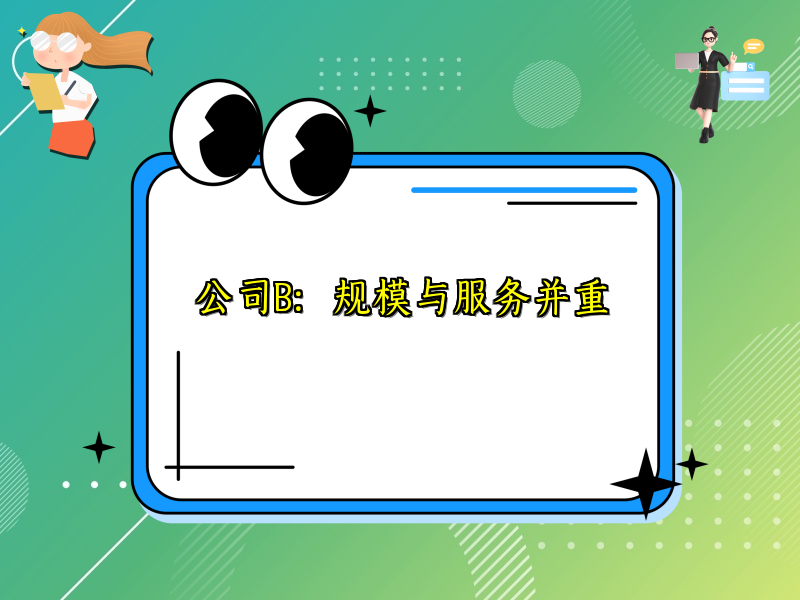 公司B：规模与服务并重