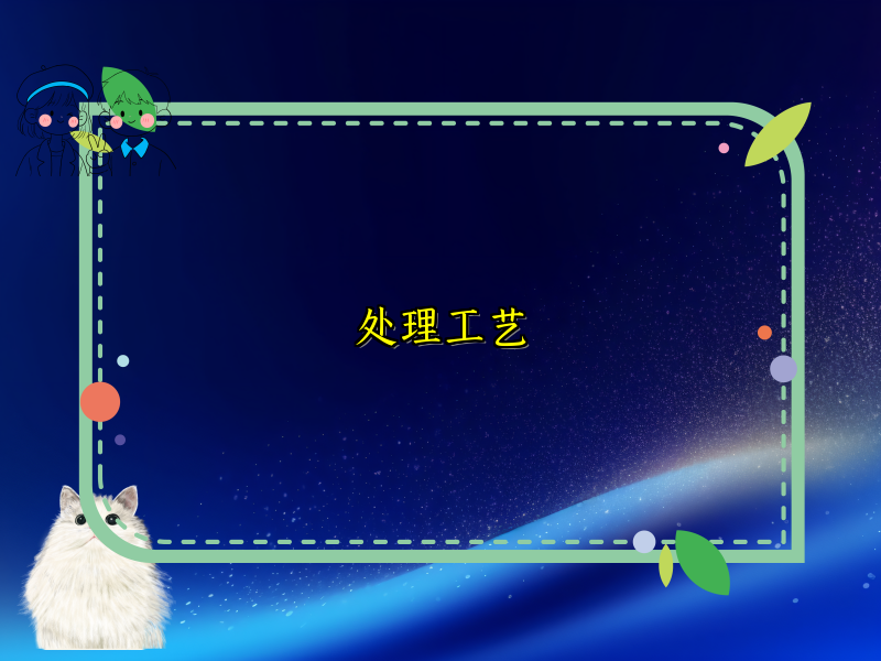 处理工艺