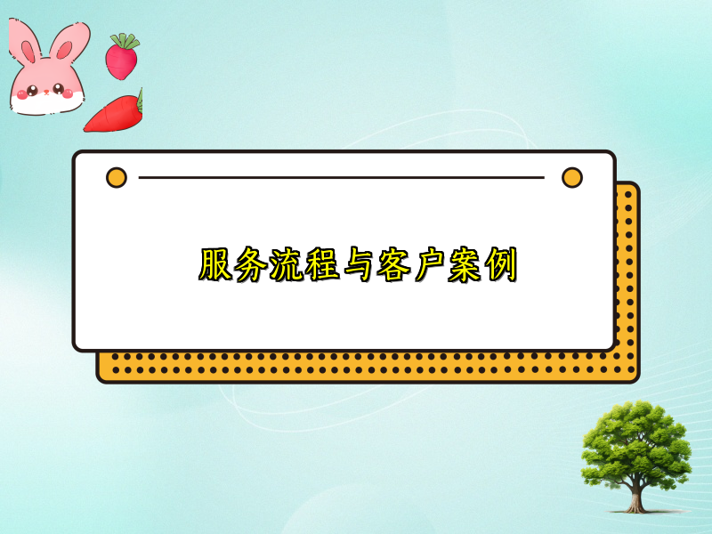 服务流程与客户案例