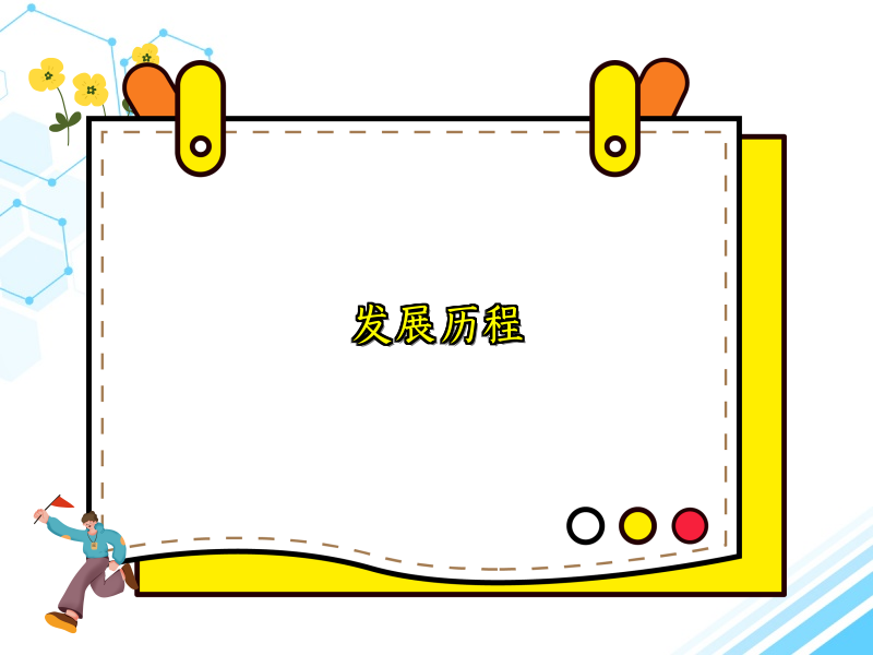 发展历程