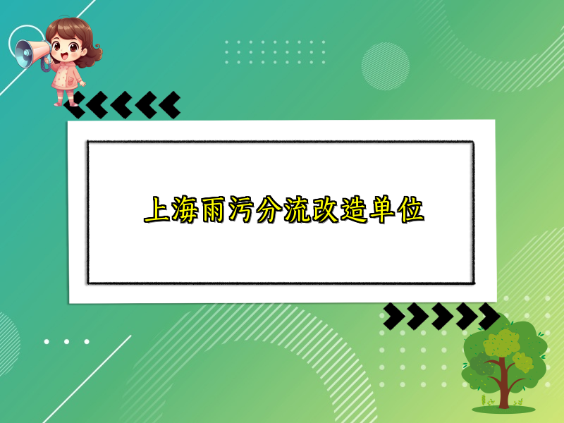 上海雨污分流改造单位