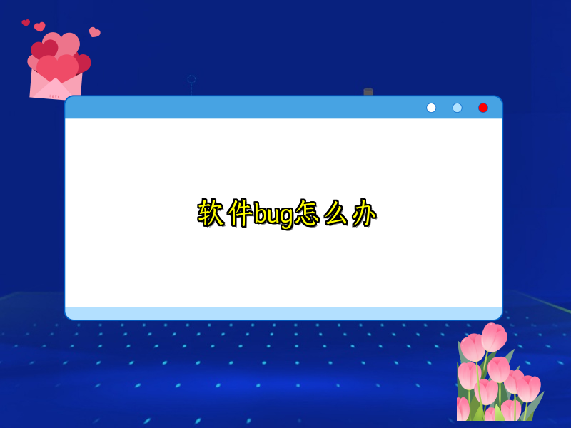 软件bug怎么办