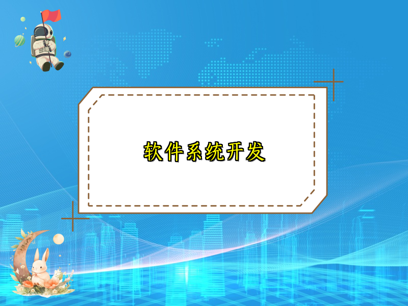 软件系统开发