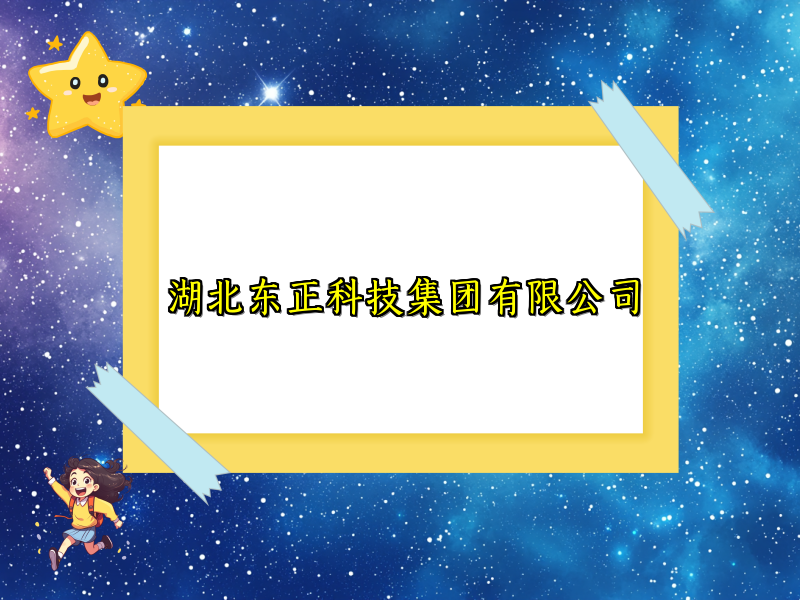 湖北东正科技集团有限公司